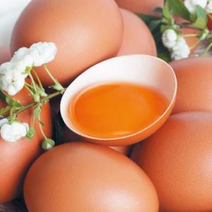 Аудит предприятия по производству куриного яйца и продукции его глубокой переработки