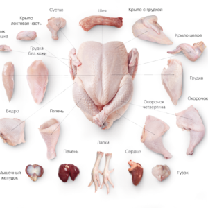 Аудит производителя мяса птицы и полуфабрикатов из мяса птицы